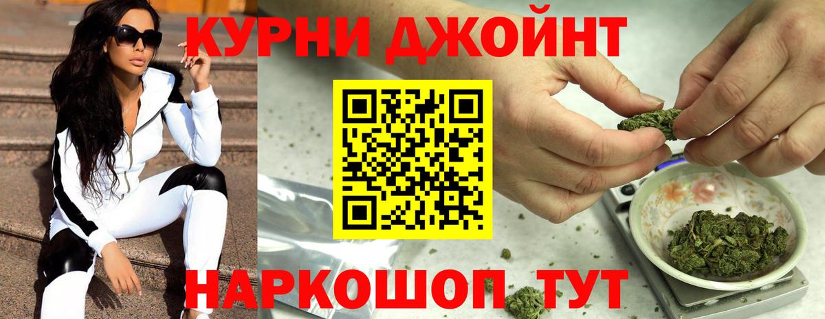 Каннабис планчик Кашира
